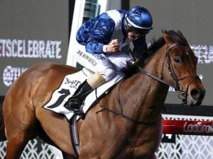 Viddora makes amends in G1 Moir Stakes