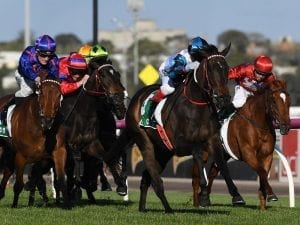 Vic Labor vows $33m for hose racing prizes