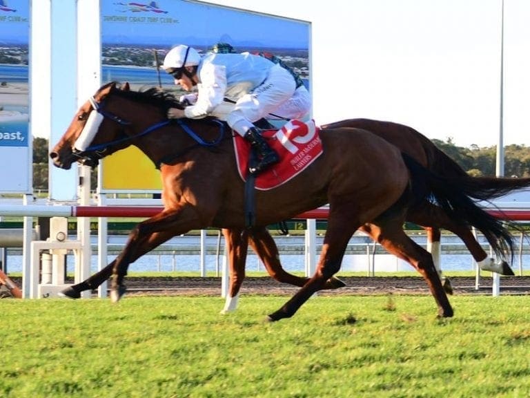Qld thoroughbred racing chiefs stand firm | Horse Betting