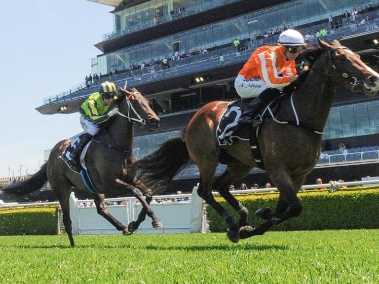 ATC continues to invest in future of Sydney racing Horse Betting