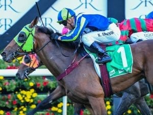 Wet track a boon for Luvaluva at Randwick