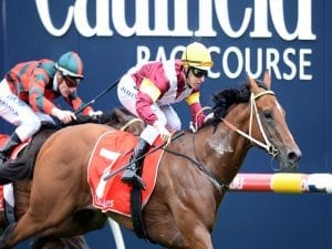 Newcastle trainer has spring in his step