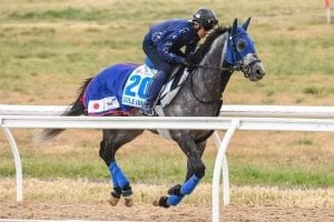 Full field declared for 2018 Melbourne Cup