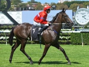 Dunn out to enhance top Caulfield record