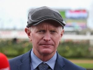 Stokes not discounting Music Bay in G1