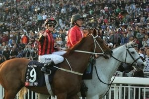 Brothers set to fight over Ladies’ Purse at Sha Tin on Sunday