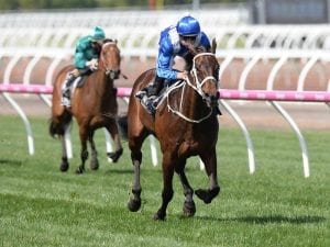 Winx has 21st Group One win in sights