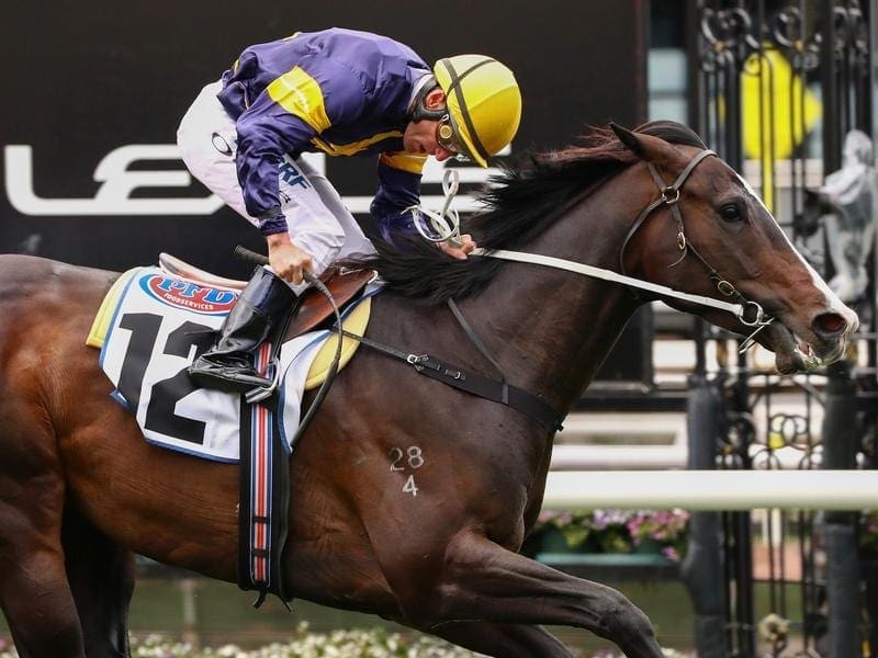 The Mick Price-trained Grunt will be chasing consecutive G1 victories in the Underwood Stakes. grunt