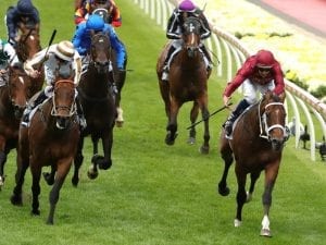 Waller-trained colt charges to Valley win