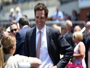 Cumani-trained colt set for Valley debut