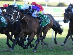 Waller weighs up options for Patrick Erin
