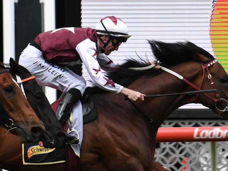 Cliff's Edge wins at Moonee Valley.