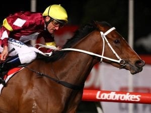 Meryl claims G3 race at first Valley run
