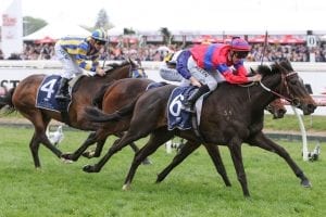 A guide to the $1m VRC Oaks at Flemington