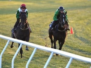 Thinkin' Big remains clear Derby favourite