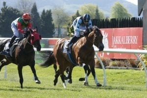 Camera decides finish to Sweynesse Stakes