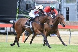 Final hit-out for Xpression ahead of Guineas