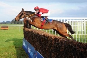 Alpha Des Obeaux back in business with victory at Thurles