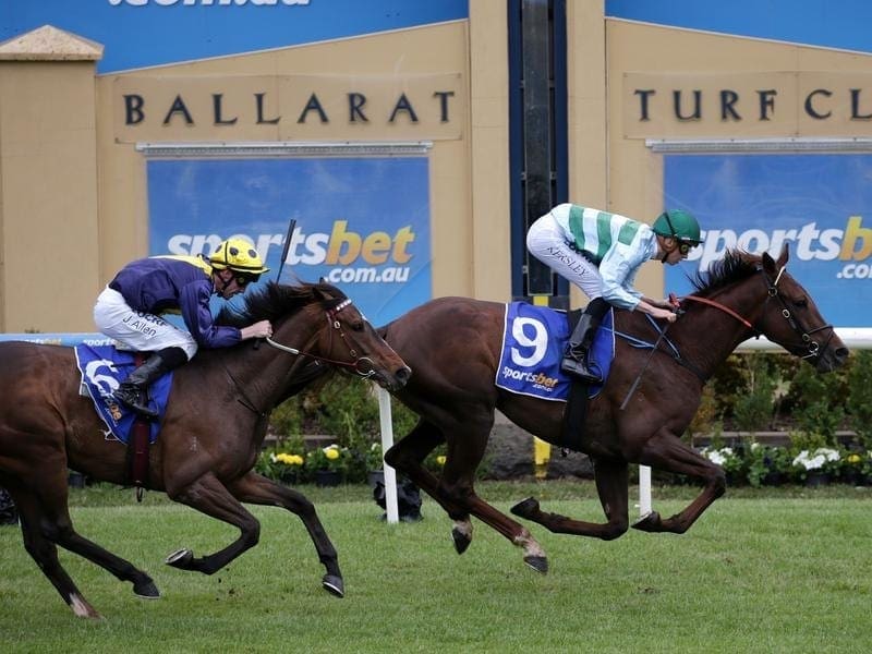 Ballarat horse racing news