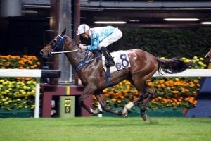Chad Schofield takes the Quaich and earns a treble at Happy Valley