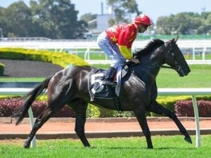 Another Freedman to add his name to Cup