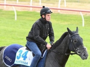 Muntahaa to stay in Australia after Cup