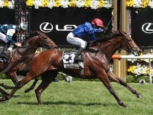 McEvoy wins a wet Melbourne Cup for Sheikh
