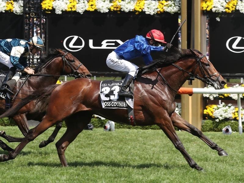 Cross Counter wins the Melbourne Cup 2018