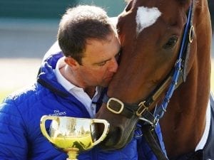 Sheikh's delight over Melbourne Cup win