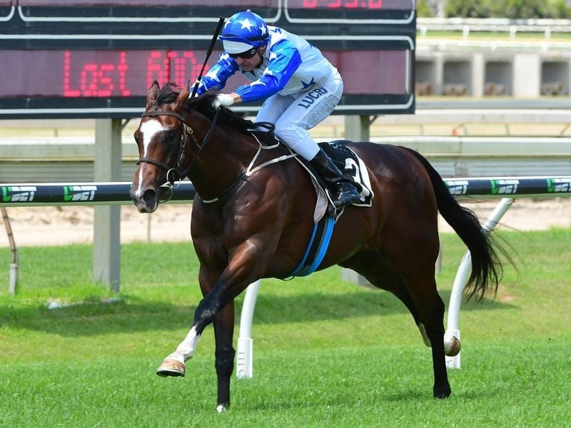 Brad Stewart rides Neptune's Spear to victory in race 2 at Doomben