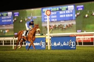Bouresly’s Treasured Times Tops Competitive Abu Dhabi Feature