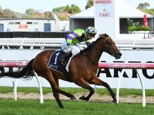 I Am A Star chasing rare Group One double