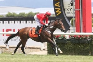 Weight only concern for Ferrando