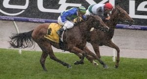 Melbourne Cup to be run on a heavy track