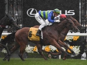 Bella Rosa snares debut stakes win in wet