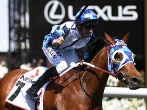 Kenedna back to best in Matriarch Stakes