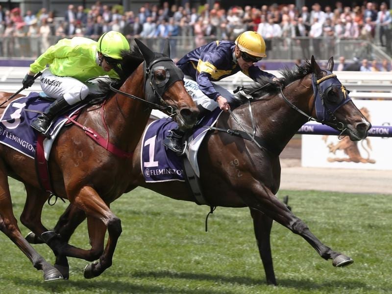 Lotalty Man (right) wins at Flemington.