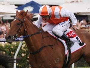 Vow And Declare collects Derby consolation