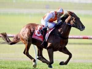 Valley then Pakenham Cup aim for Lycurgus