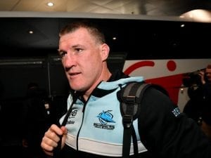 Te Akau Shark on trial for Sydney autumn