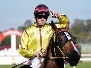 Ben Thompson granted Singapore licence