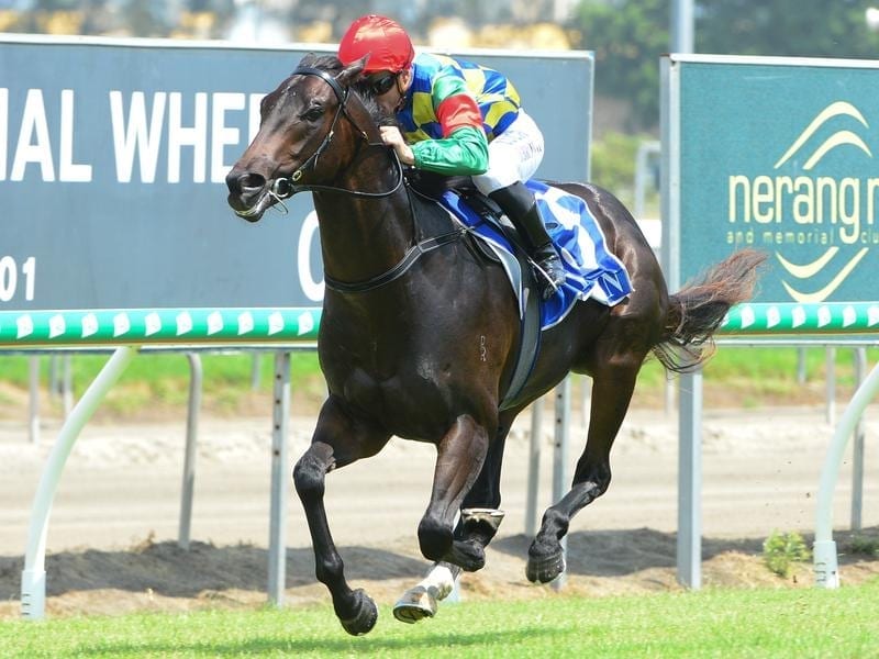 Well Prepared wins at the Gold Coast.