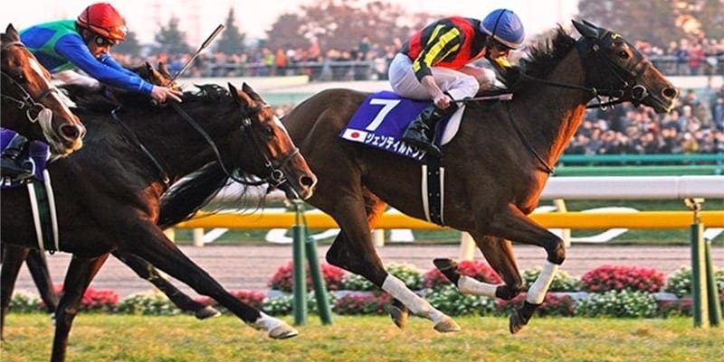 japan world cup 3 horse