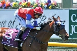 Kiwi Ida takes out Breeders’ Stakes