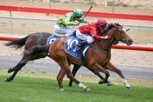 Luck Favours ready for Valley assignment