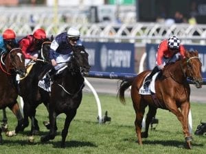 Jarrod McLean lands G1 with Trap For Fools