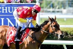 Madison County Karaka Million 3YO could be next target for 2000 Guineas winner