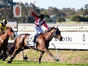 Another Railway Stakes for Peters team