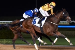 Fawaareq makes UAE bow in Sunday Abu Dhabi Feature