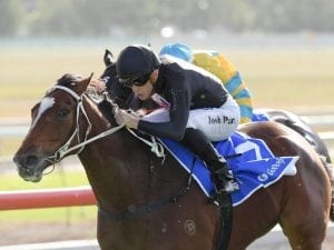 Joe Pride set for big day out at Rosehill